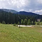 Dobi's Elit47 At Elit * Pamporovo
