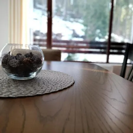 Dobi's Elit47 At Elit Pamporovo