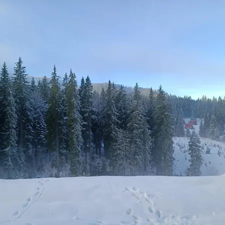 Dobi's Elit47 At Elit Pamporovo