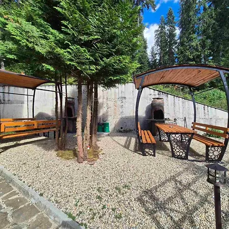 Dobi's Elit47 At Elit * Pamporovo