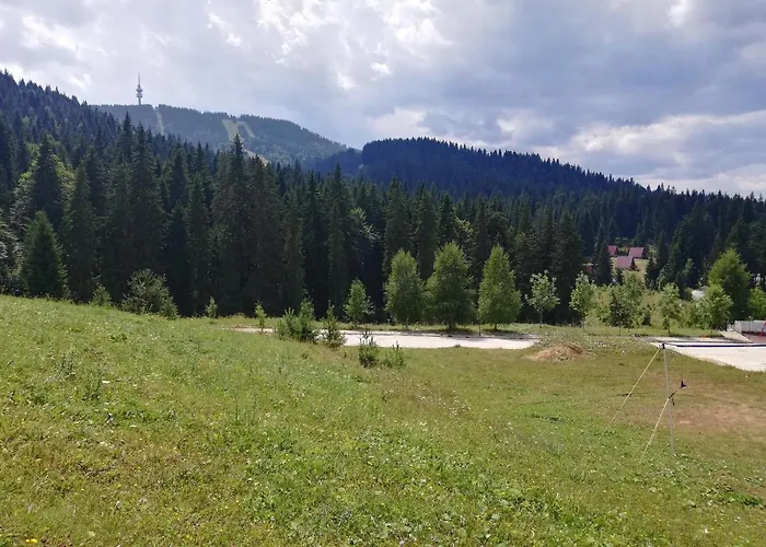 Dobi's Elit47 At Elit * Pamporovo