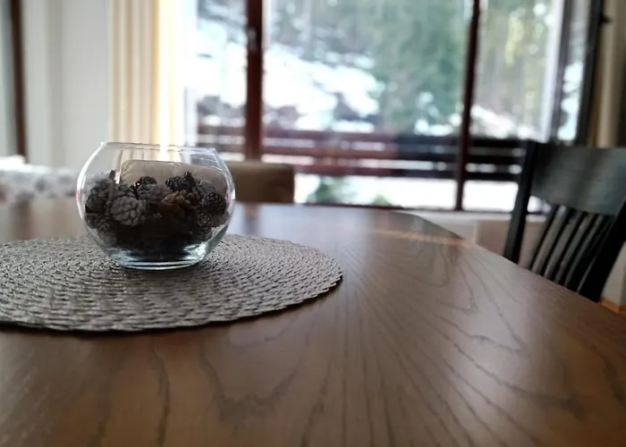 Dobi's Elit47 At Elit Pamporovo