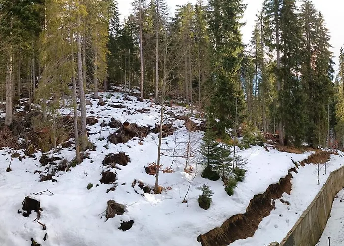 Dobi's Elit47 At Elit Lejlighed