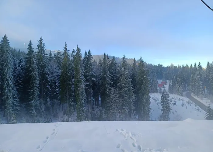 Dobi's Elit47 At Elit Pamporovo